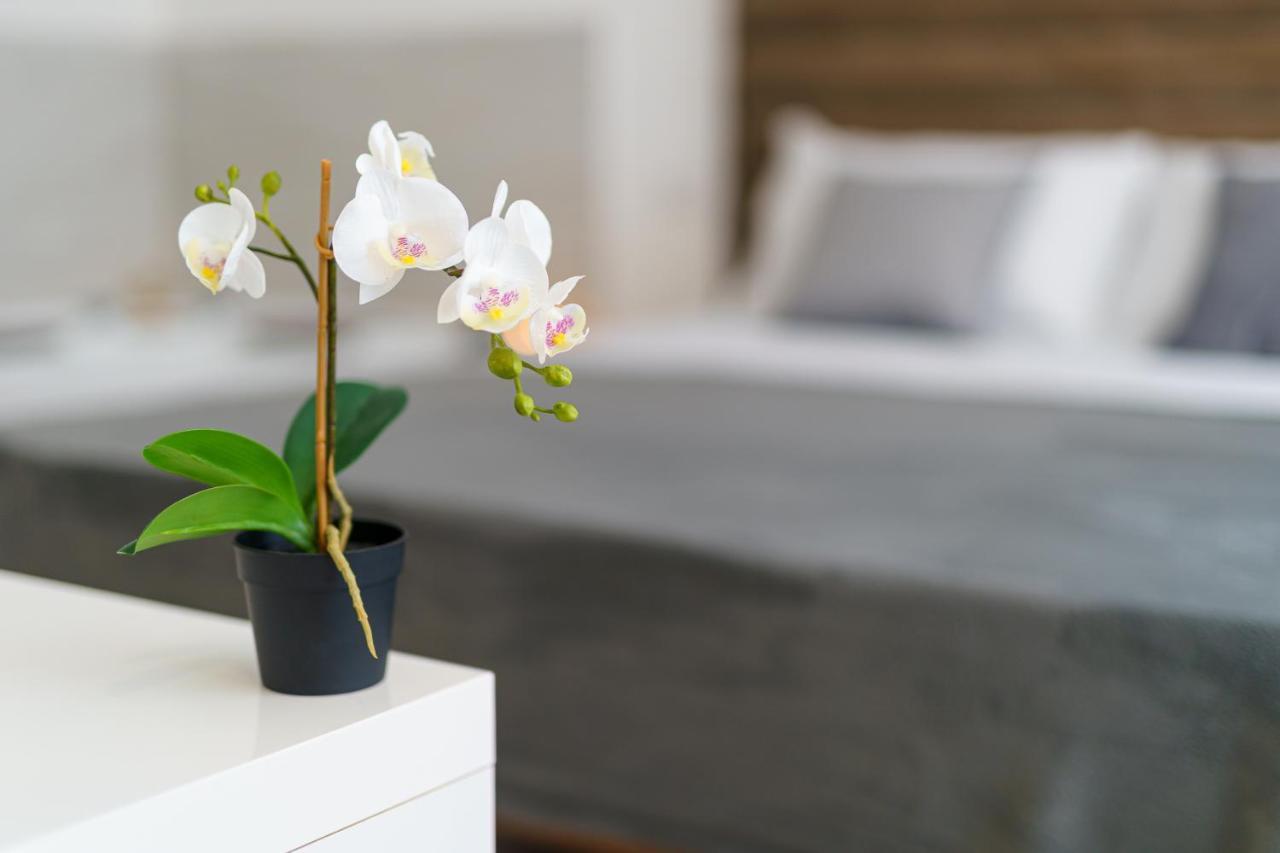 Atena Rooms كالياري المظهر الخارجي الصورة